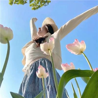 五个女生 海报