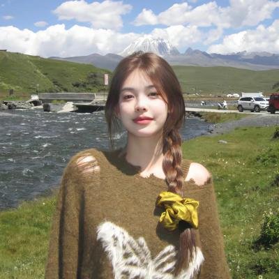 大偷记 海报